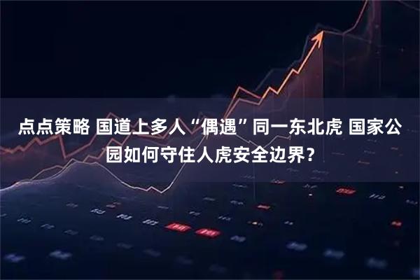 点点策略 国道上多人“偶遇”同一东北虎 国家公园如何守住人虎安全边界？