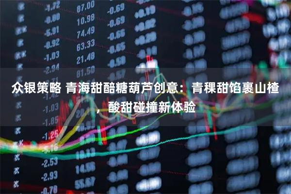 众银策略 青海甜醅糖葫芦创意：青稞甜馅裹山楂，酸甜碰撞新体验