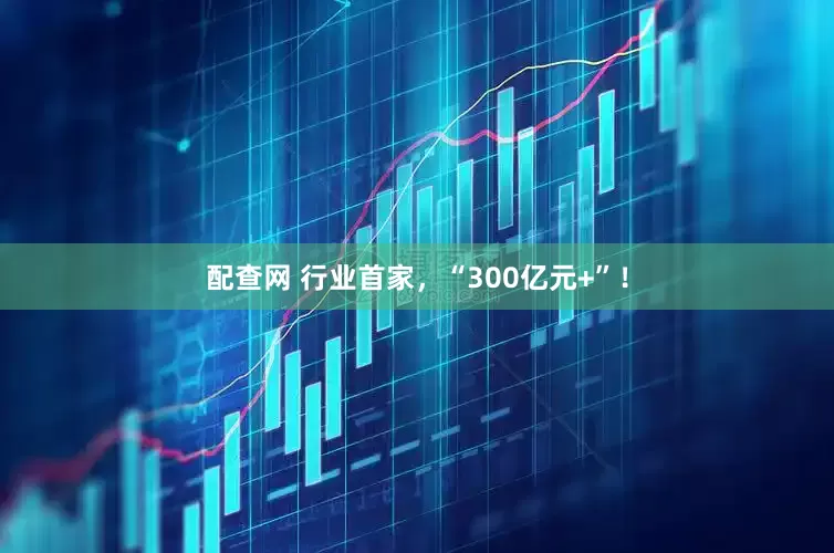 配查网 行业首家，“300亿元+”！